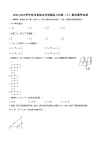 2022-2023学年河北省保定市望都县九年级（上）期末数学试卷（含解析）