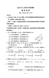 46，上海市建平中学地杰校区2023-2024学年九年级上学期12月月考数学试卷