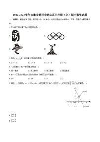 2022-2023学年安徽省蚌埠市蚌山区八年级（上）期末数学试卷（含解析）