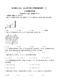 辽宁省沈阳市沈北新区2023-2024学年九年级上学期质量监测（二）（期末）数学试题