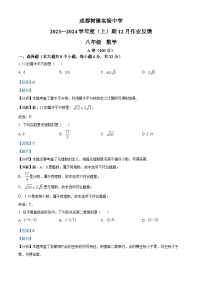 四川省成都市青羊区树德实验中学2023-2024学年八年级上学期12月月考数学试题