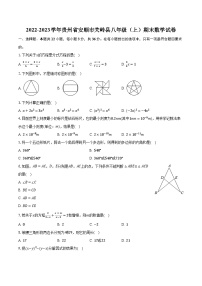 2022-2023学年贵州省安顺市关岭县八年级（上）期末数学试卷（含解析）