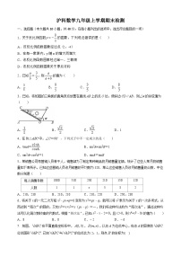 2023-2024学年沪科版数学九年级上册期末检测