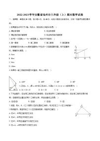 2022-2023学年安徽省池州市八年级（上）期末数学试卷（含解析）