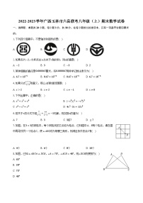 2022-2023学年广西玉林市六县联考八年级（上）期末数学试卷（含解析）