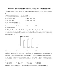 2022-2023学年江西省鹰潭市余江区八年级（上）期末数学试卷（含解析）