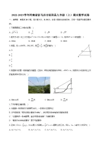 2022-2023学年河南省驻马店市泌阳县九年级（上）期末数学试卷（含解析）