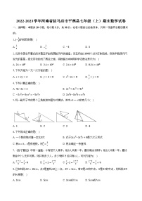 2022-2023学年河南省驻马店市平舆县七年级（上）期末数学试卷（含解析）