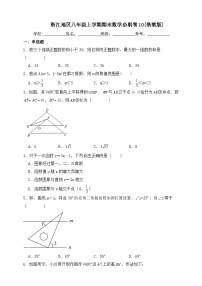 浙江地区八年级上学期期末数学必刷卷10(浙教版 含解析)