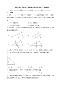 浙江地区八年级上学期期末数学必刷卷11(浙教版 含解析)