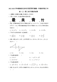 2022-2023学年湖南省长沙市开福区青竹湖湘一外国语学校八年级（上）第三次月考数学试卷