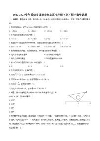 2022-2023学年福建省龙岩市永定区七年级（上）期末数学试卷（含解析）