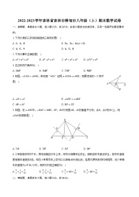 2022-2023学年吉林省吉林市桦甸市八年级（上）期末数学试卷（含解析）