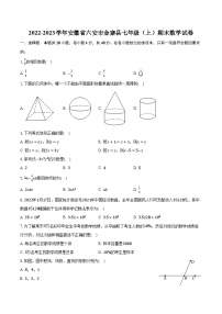 2022-2023学年安徽省六安市金寨县七年级（上）期末数学试卷（含解析）