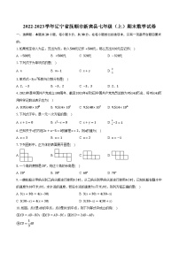 2022-2023学年辽宁省抚顺市新宾县七年级（上）期末数学试卷（含解析）