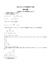 湖北省省直辖县级行政单位天门市九校联考2023-2024学年八年级上学期月考数学试题（含答案）