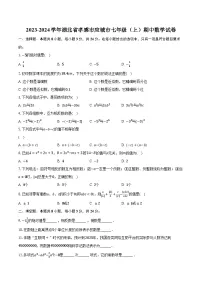 2023-2024学年湖北省孝感市应城市七年级（上）期中数学试卷（含解析）