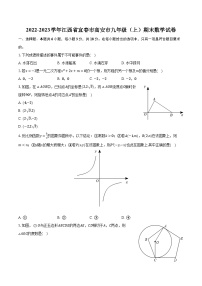 2022-2023学年江西省宜春市高安市九年级（上）期末数学试卷（含解析）