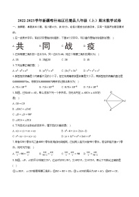 2022-2023学年新疆喀什地区巴楚县八年级（上）期末数学试卷（含解析）