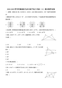 2022-2023学年河南省驻马店市西平县八年级（上）期末数学试卷（含解析）