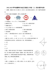 2022-2023学年新疆喀什地区巴楚县九年级（上）期末数学试卷（含解析）