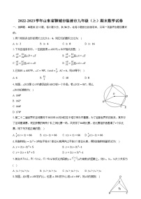 2022-2023学年山东省聊城市临清市九年级（上）期末数学试卷（含解析）