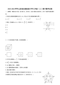 2023-2024学年山西省运城实验中学九年级（上）期中数学试卷（含解析）