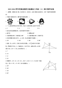 2023-2024学年河南省漯河市临颍县八年级（上）期中数学试卷（含解析）