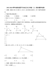 2023-2024学年吉林省四平市双辽市九年级（上）期末数学试卷（含解析）