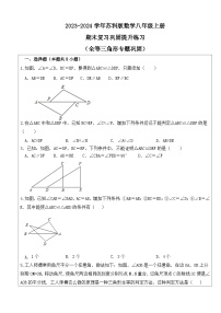 2023—2024学年苏科版数学八年级上册+++期末复习巩固提升练习（全等三角形专题巩固）