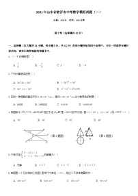 2021年山东省临沂市中考数学模拟试题（一）