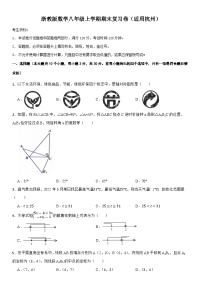 浙教版数学八年级上学期期末复习卷（适用杭州）