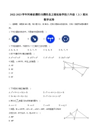 2022-2023学年河南省濮阳市濮阳县卫都实验学校八年级（上）期末数学试卷（含解析）