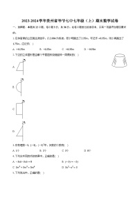 2023-2024学年贵州省毕节七中七年级（上）期末数学试卷（含解析）