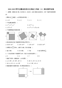 2022-2023学年安徽省阜阳市太和县八年级（上）期末数学试卷（含解析）