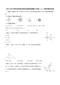 2023-2024学年吉林省松原市前郭县城镇八年级（上）期末数学试卷（含解析）