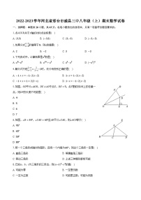 2022-2023学年河北省邢台市威县三中八年级（上）期末数学试卷（含解析）