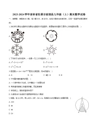 2023-2024学年吉林省松原市前郭县九年级（上）期末数学试卷（含解析）