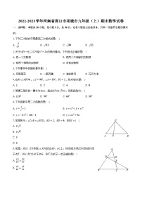 2022-2023学年河南省周口市项城市九年级（上）期末数学试卷（含解析）