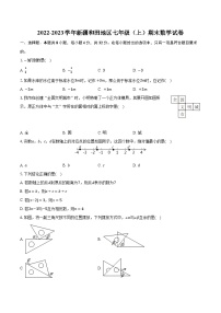 2022-2023学年新疆和田地区七年级（上）期末数学试卷（含解析）