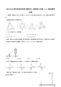 2023-2024学年吉林省吉林市蛟河市三校联考九年级（上）期末数学试卷（含解析）