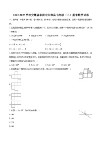 2022-2023学年安徽省阜阳市太和县七年级（上）期末数学试卷（含解析）