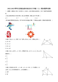 2022-2023学年江西省宜春市高安市八年级（上）期末数学试卷（含解析）