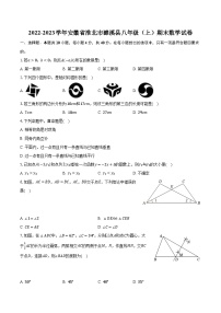 2022-2023学年安徽省淮北市濉溪县八年级（上）期末数学试卷（含解析）