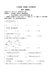 河北省邢台市2023-2024学年八年级上学期期中数学试题