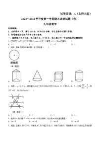 陕西省渭南市富平县淡村镇南社初级中学2023-2024学年九年级上学期期末模拟数学试题