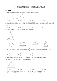 浙教版九年级上册4.3 相似三角形当堂检测题