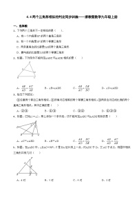 初中数学浙教版九年级上册4.4 两个三角形相似的判定练习