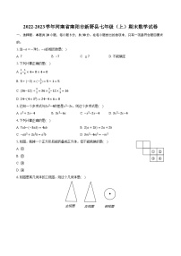 河南省南阳市新野县2022-2023学年七年级上学期期末数学试题+