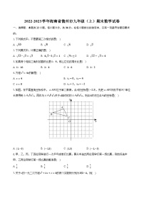 2022-2023学年海南省儋州市九年级（上）期末数学试卷(含解析）